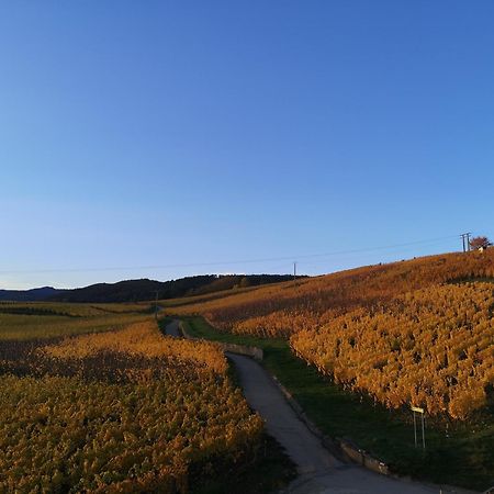 شقة Cocon De Caractere Au Coeur Des Vignes Alsaciennes برغهايم المظهر الخارجي الصورة